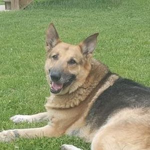 Meet your Posher, Beverly